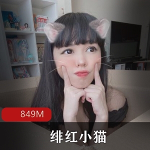 绯红小猫斗鱼网红表演合集，849MB视频精品尽收眼底